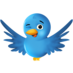 twitter-bird-2_bigger.png - 15.92 Ko
